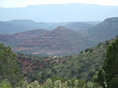 photo thumbnail #10