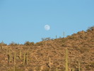 photo thumbnail #11
