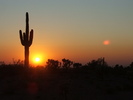 photo thumbnail #14