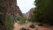 recent photo
