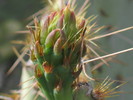 photo thumbnail #1