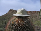 photo thumbnail #8