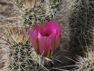 photo thumbnail #13