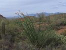 photo thumbnail #14