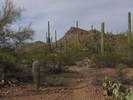 photo thumbnail #15
