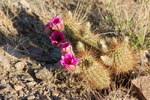 photo thumbnail #4