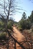 photo thumbnail #1