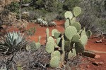 photo thumbnail #12