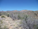 photo thumbnail #3