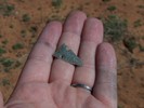photo thumbnail #2