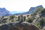 photo thumbnail #3