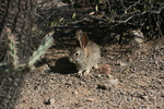 photo thumbnail #1