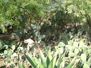 photo thumbnail #7