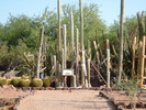 photo thumbnail #9