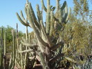photo thumbnail #11