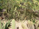 photo thumbnail #12