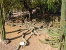 photo thumbnail #13