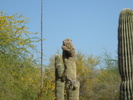 photo thumbnail #14