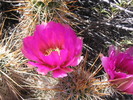 photo thumbnail #6