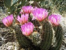 photo thumbnail #6