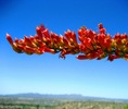 photo thumbnail #9