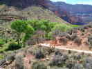 photo thumbnail #10