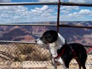 photo thumbnail #15