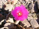 photo thumbnail #4