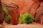 photo thumbnail #12
