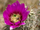 photo thumbnail #1