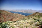 photo thumbnail #6