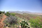 photo thumbnail #7