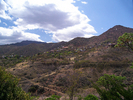 photo thumbnail #1