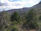 photo thumbnail #6