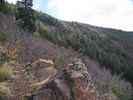 photo thumbnail #15