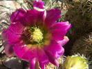 photo thumbnail #4