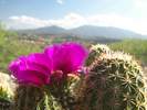 photo thumbnail #5