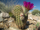 photo thumbnail #8