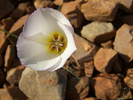 photo thumbnail #12