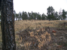 photo thumbnail #12
