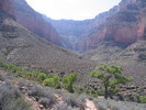photo thumbnail #12