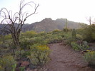 photo thumbnail #1