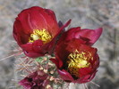 photo thumbnail #1