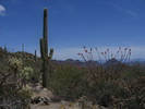 photo thumbnail #10