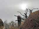 photo thumbnail #1