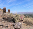 photo thumbnail #2