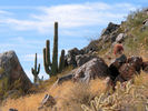 photo thumbnail #5
