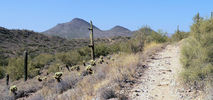 photo thumbnail #2