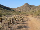 photo thumbnail #8