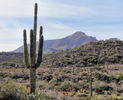 photo thumbnail #10